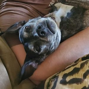 Meet your Posher, Allicia